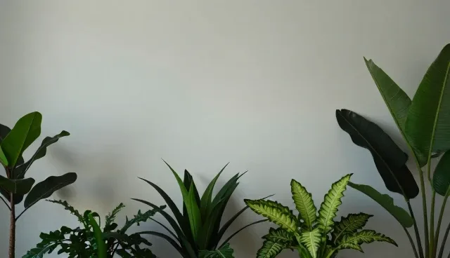 水电改造：场景选择对性能与适用条件的影响分析